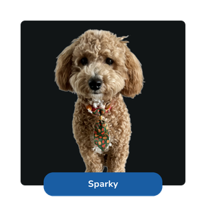 Sparky, Lingo Mascot